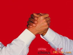 技術(shù)轉(zhuǎn)讓 概念、流程與價值實(shí)現(xiàn)